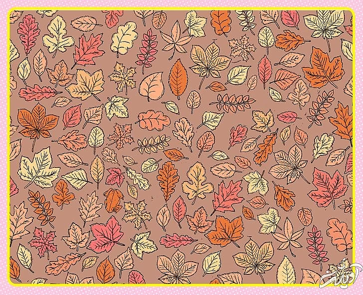 چند معمای تصویری برای آنهایی که توجه و دقت زیادی دارند